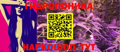 apvp Тара
