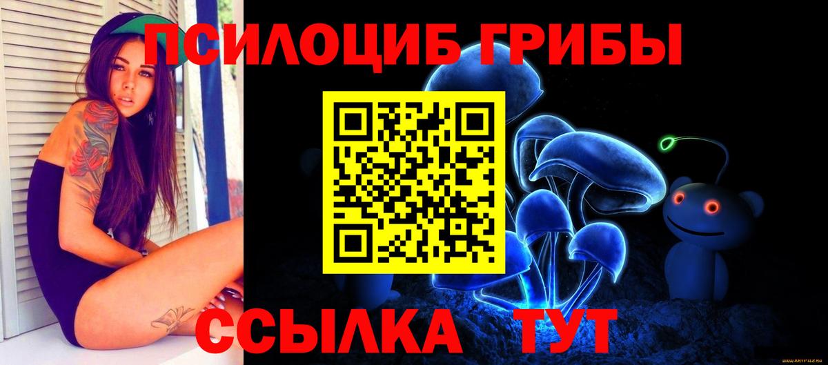 Галлюциногенные грибы Psilocybe Новозыбков