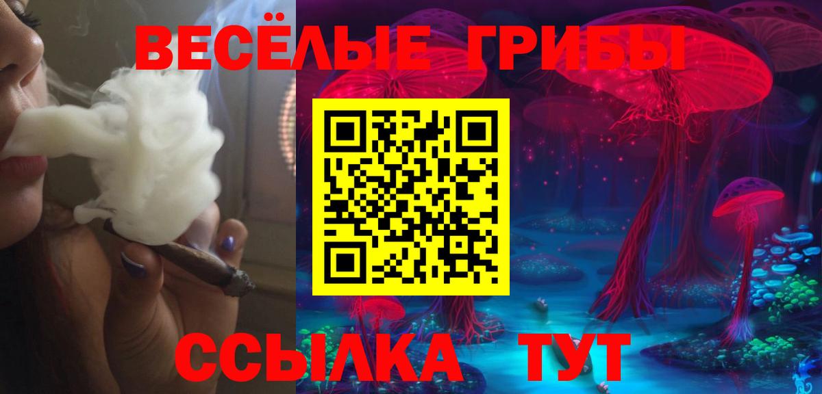 Псилоцибиновые грибы Magic Shrooms  Вход с VPN  хочу наркоту  Новозыбков 