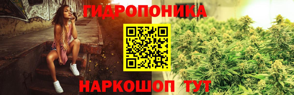 Бошки Шишки марихуана Новозыбков